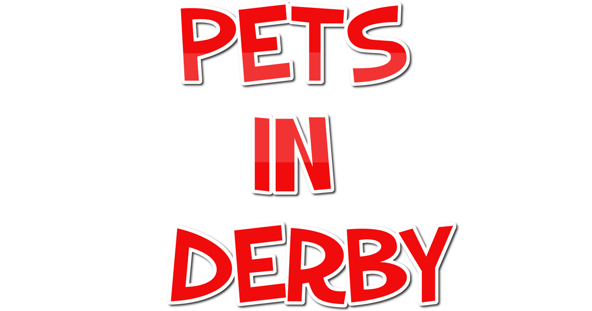 Find a Pet Shop in Derby Bulletins